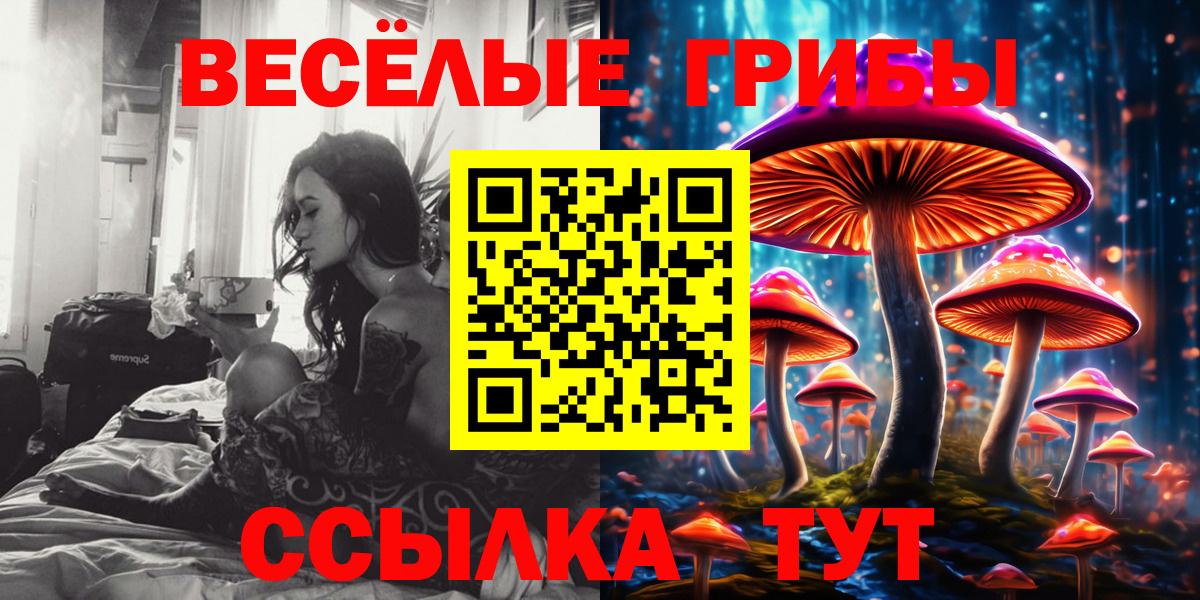 Галлюциногенные грибы Cubensis Сосновоборск